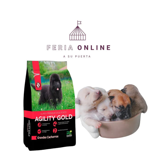 Agility Gold Perros Cachorros Razas Grandes