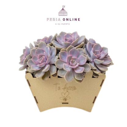 Jardinera Grande En Madera