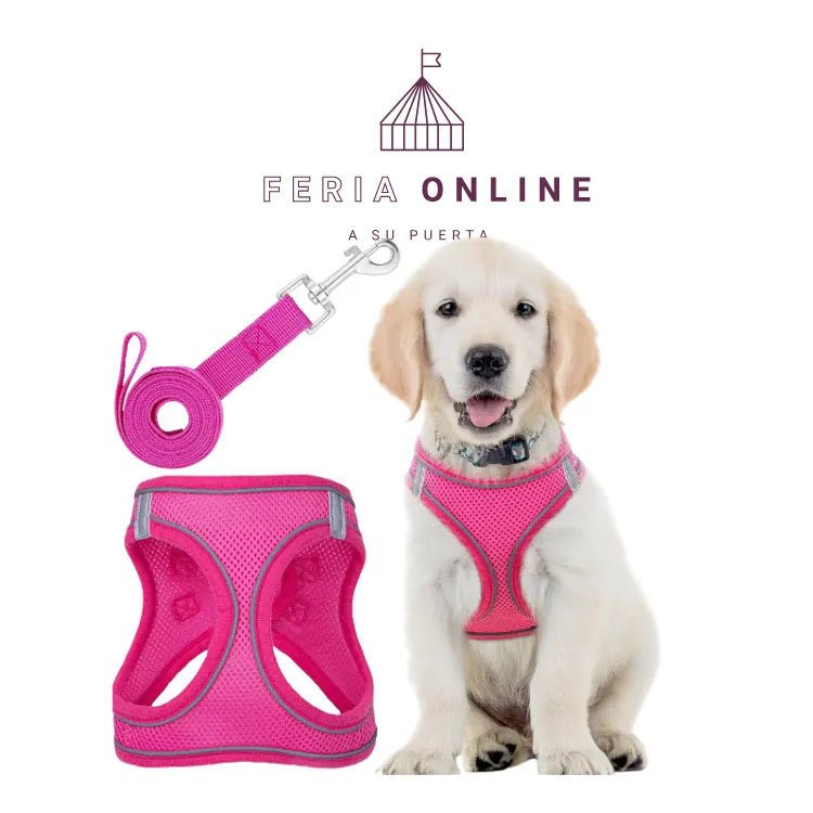 Correa Con Pechera