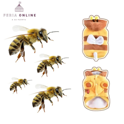 Disfraz Saco Abeja