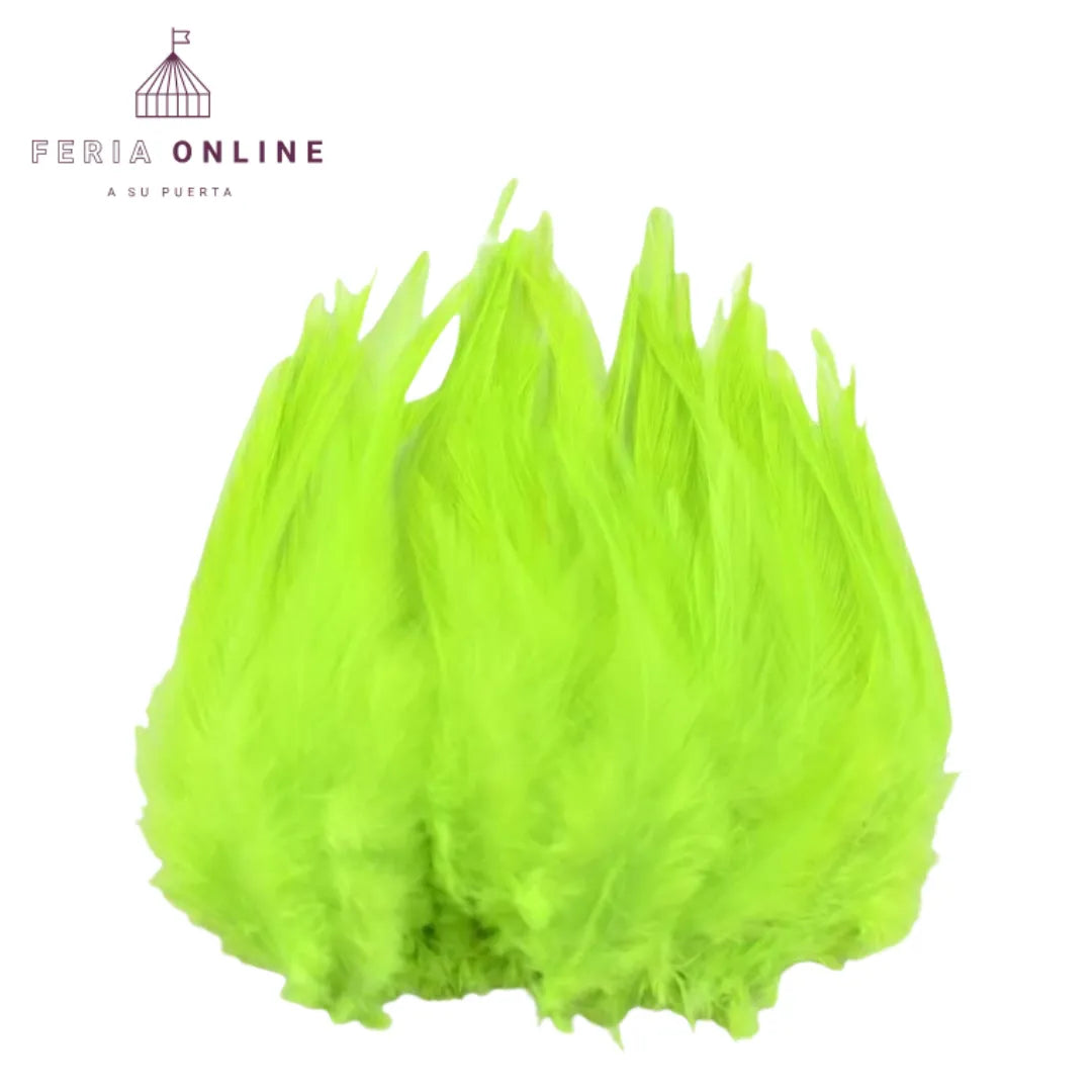 Plumas Pequeñas