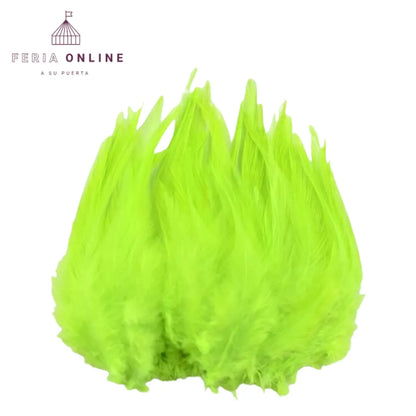 Plumas Pequeñas