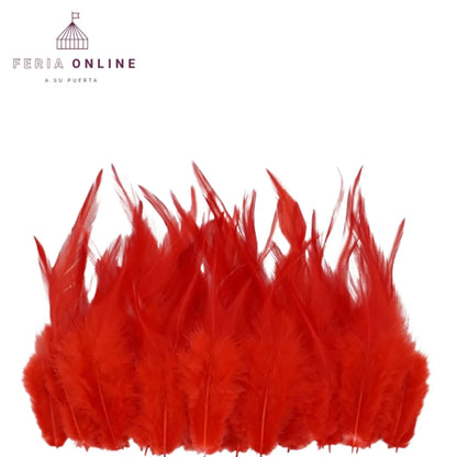 Plumas Pequeñas