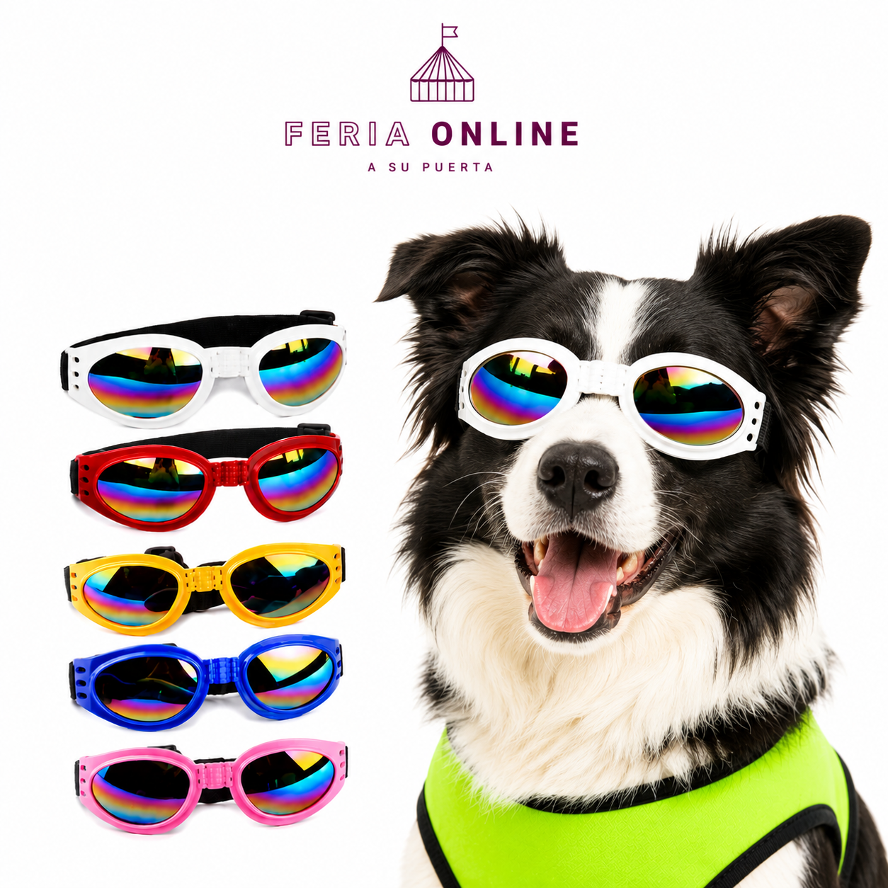 Gafas para Mascotas