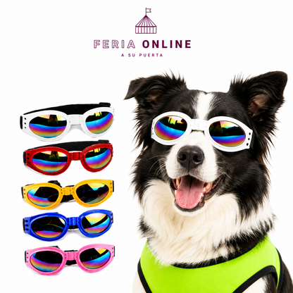 Gafas para Mascotas