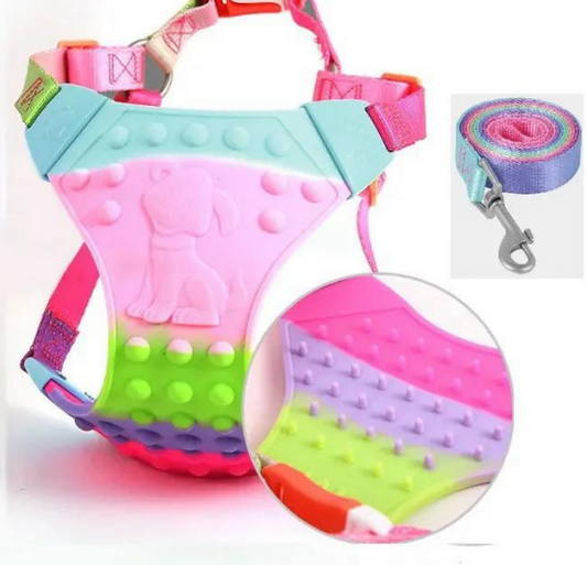 Arnés de Silicona para Mascotas