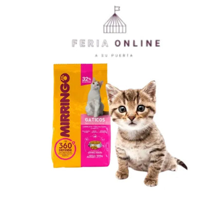 Mirringo Gatitos