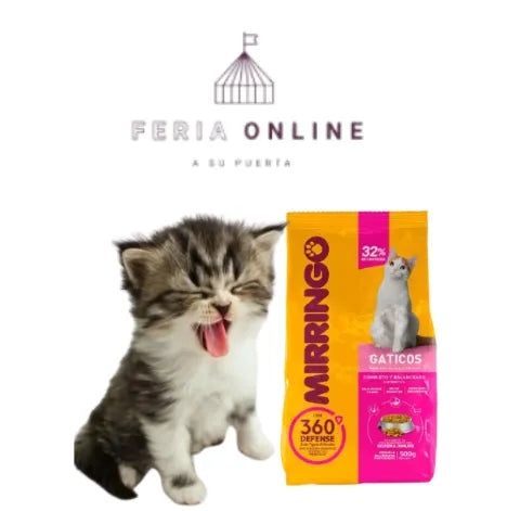 Mirringo Gatitos