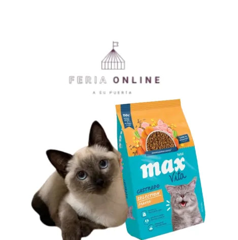 Max Vita Gatos Castrados
