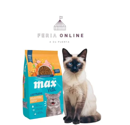 Max Vita Gatos Castrados
