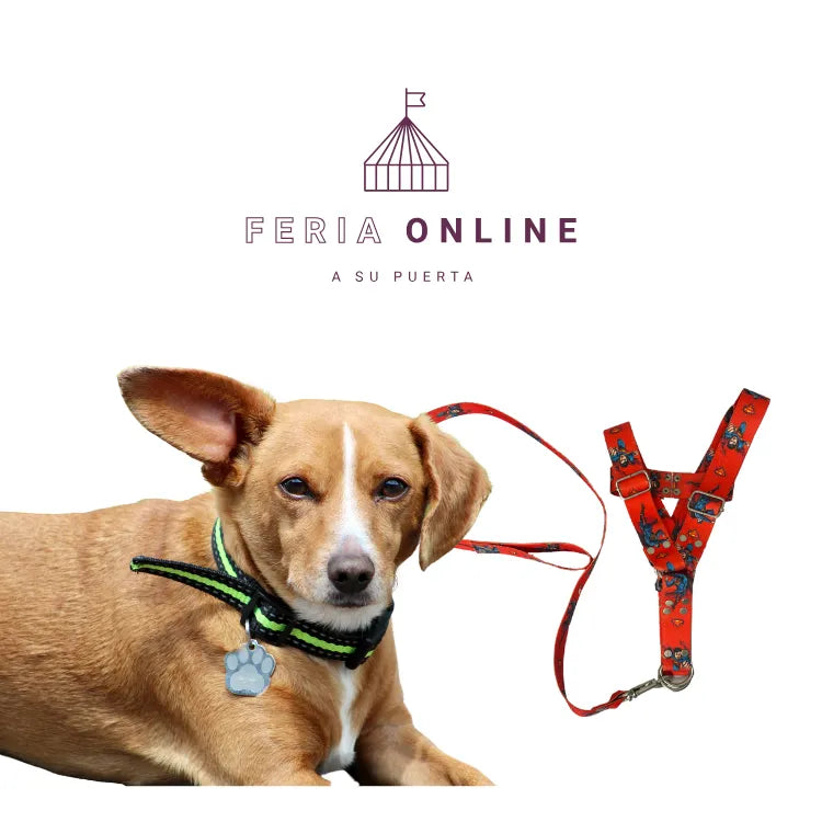 Arnés para Mascotas Estampado Muñecos