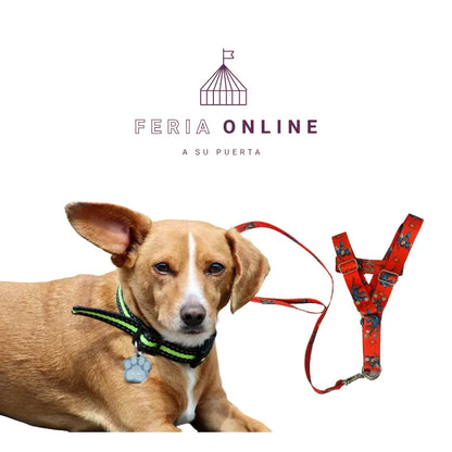 Arnés para Mascotas Estampado Muñecos