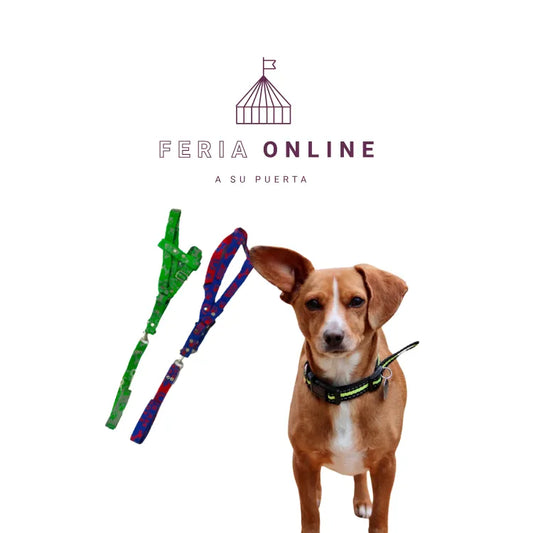 Collar Surtido Cerrado