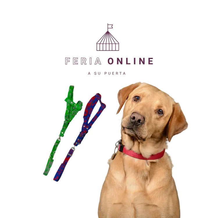 Collar Surtido Cerrado