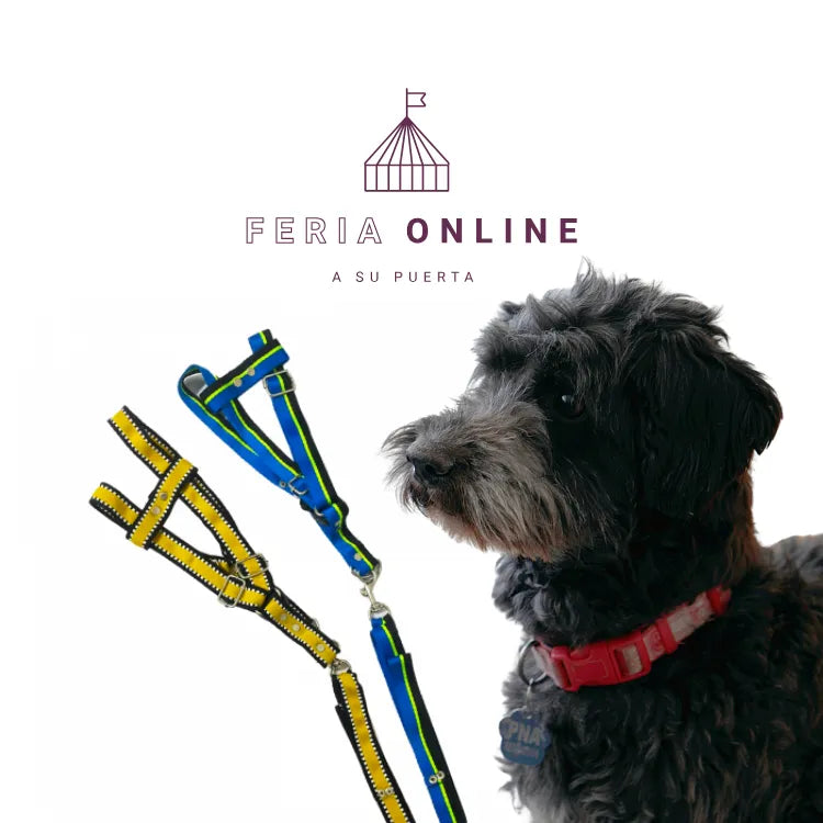 Collar Cinta Punteada Grande