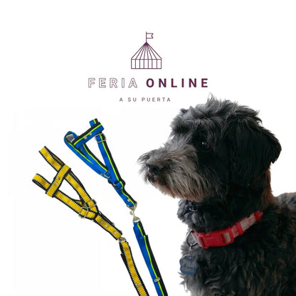 Collar Cinta Punteada Grande