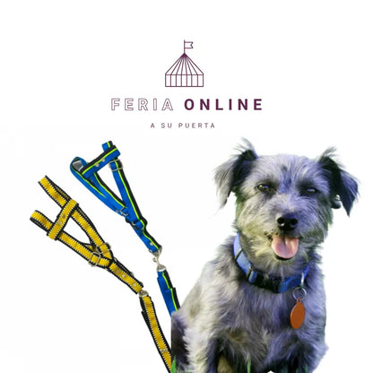 Collar Cinta Punteada Grande