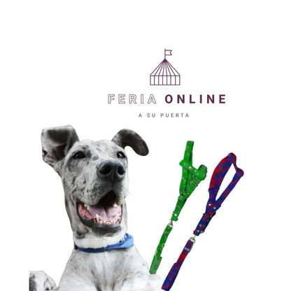 Collar Surtido Cerrado