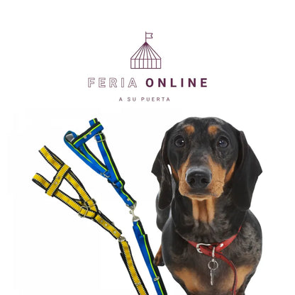 Collar Cinta Punteada Grande