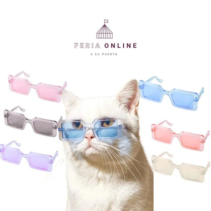 Gafas Cuadradas para Mascotas