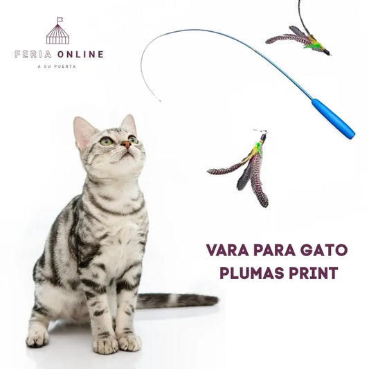 Varas para Gato Con Plumas