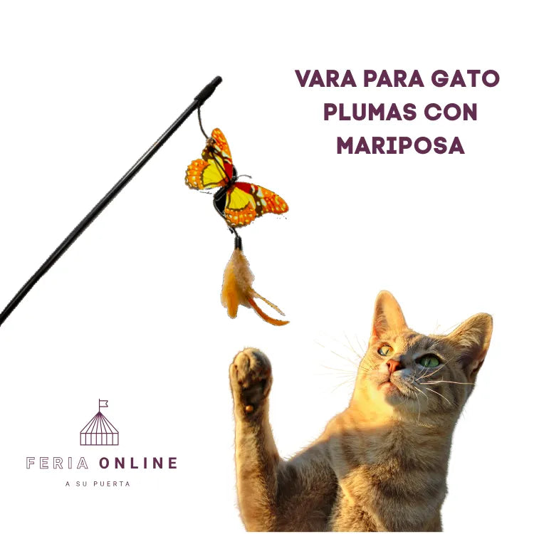 Varas para Gato Con Plumas