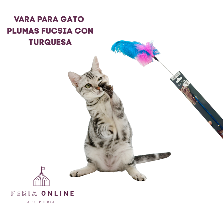 Varas para Gato Con Plumas