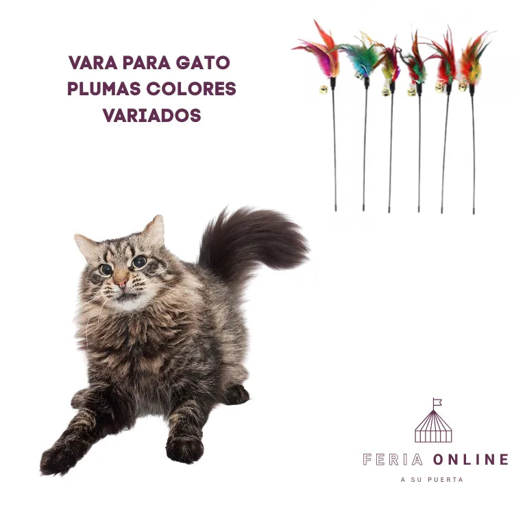 Varas para Gato Con Plumas