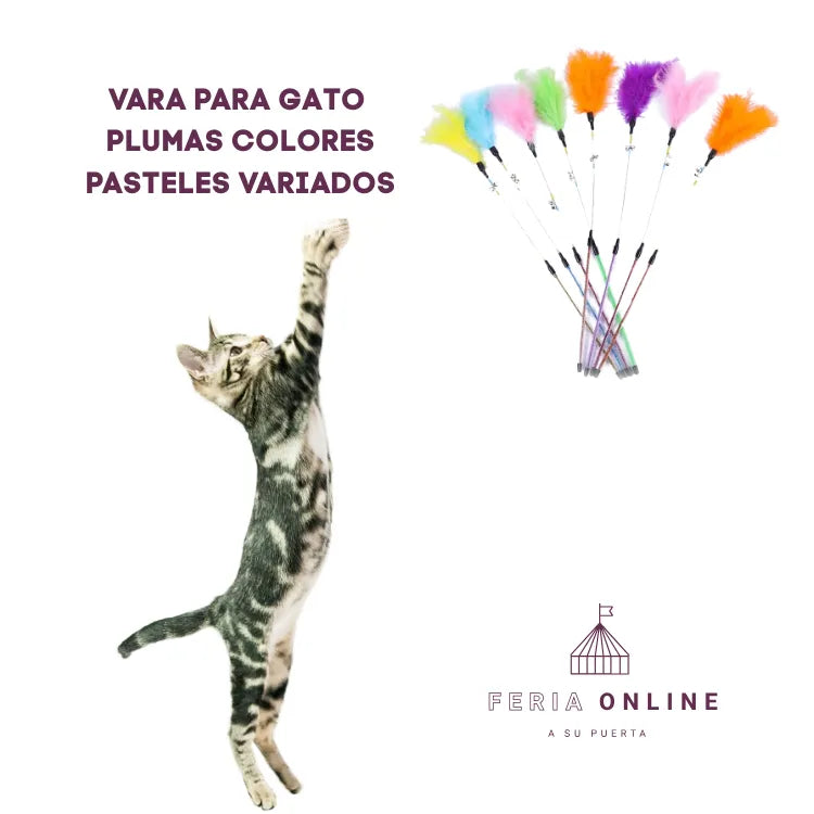 Varas para Gato Con Plumas