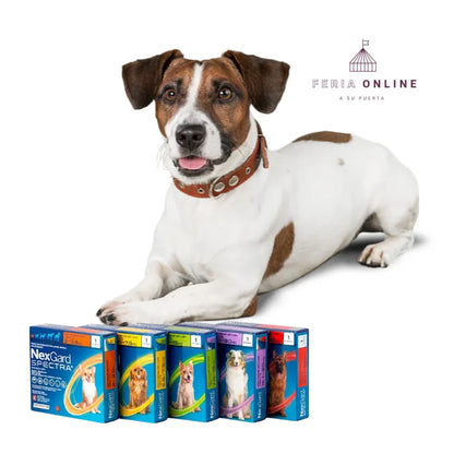 Nexgard Spectra Tableta Masticable - Antipulgas y Antiparasitario