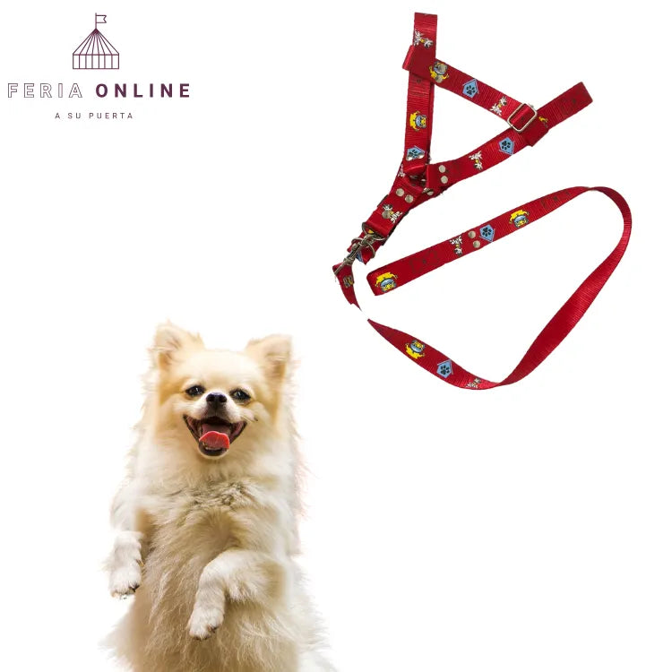 Arnés para Perros Nylon 1'' Estampado