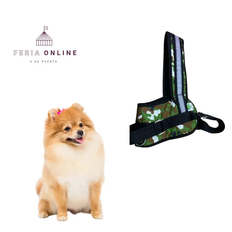 Pechera Con Paseador Para Mascotas Grande