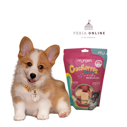 Galletas Cachorros