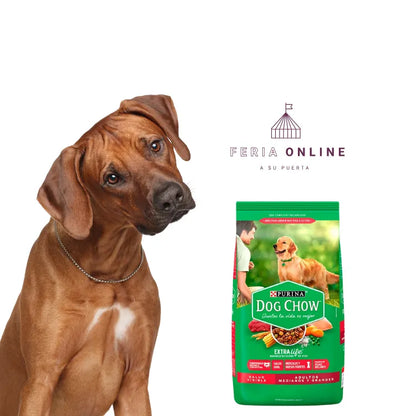 Dog Chow Adultos Medianos y Grandes