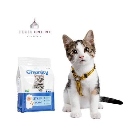 Chunky Concentrado Gatos Adultos Pollo