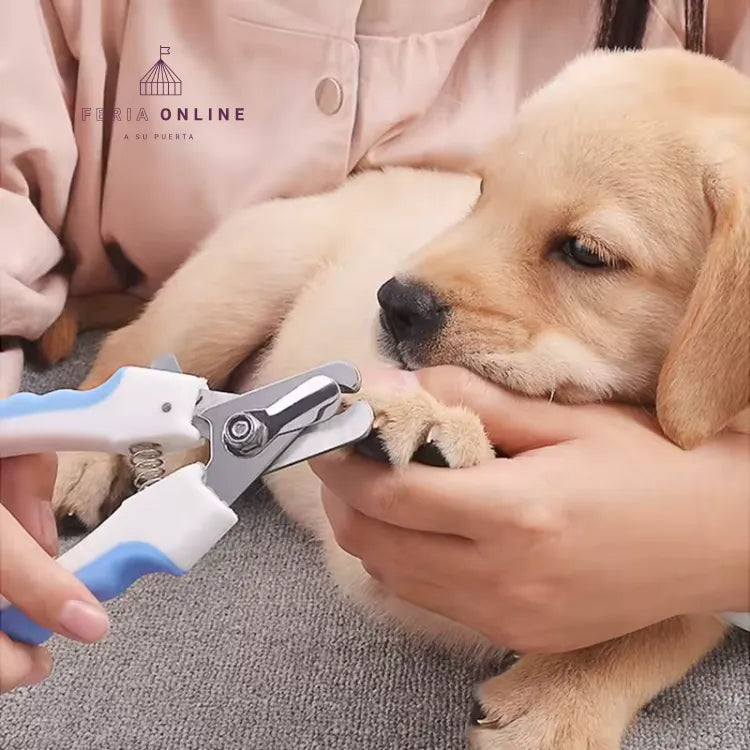 Cortauñas Clásico con Lima