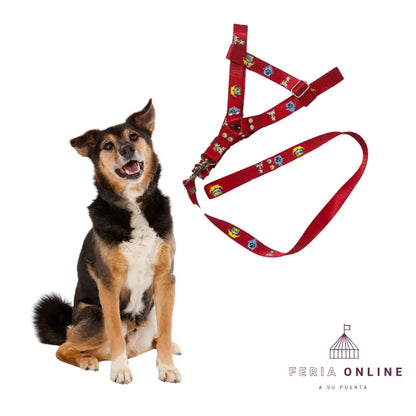 Arnés para Perros Nylon 1'' Estampado