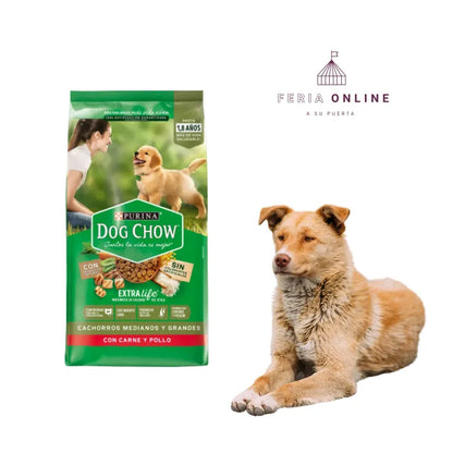 Dog Chow Cachorros Medianos y Grandes 1k.