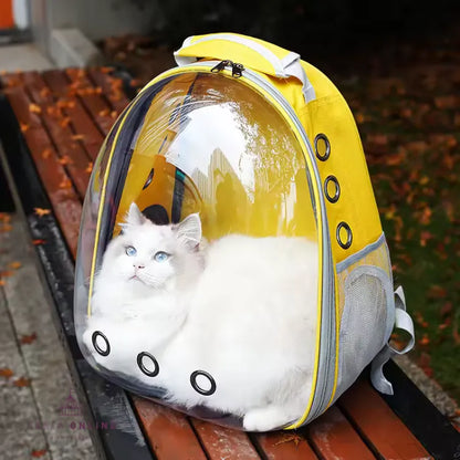 Bolso Astropet Transparente