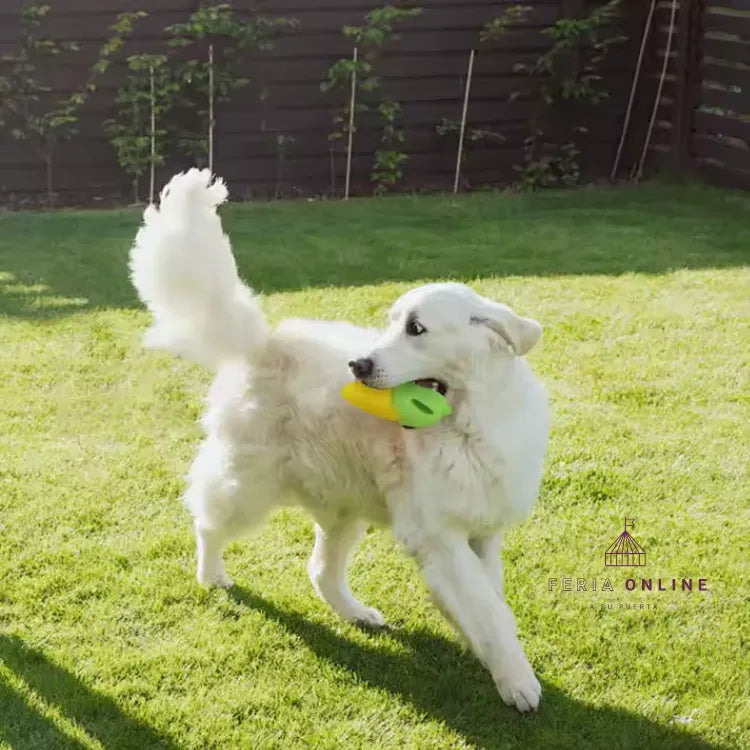 Juguete Para Morder Mazorca Con Sonido