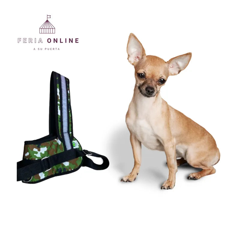 Pechera Con Paseador Para Mascotas Grande