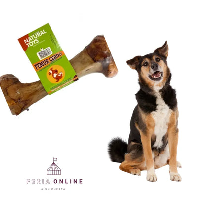 Hueso Femur De Res O Cerdo