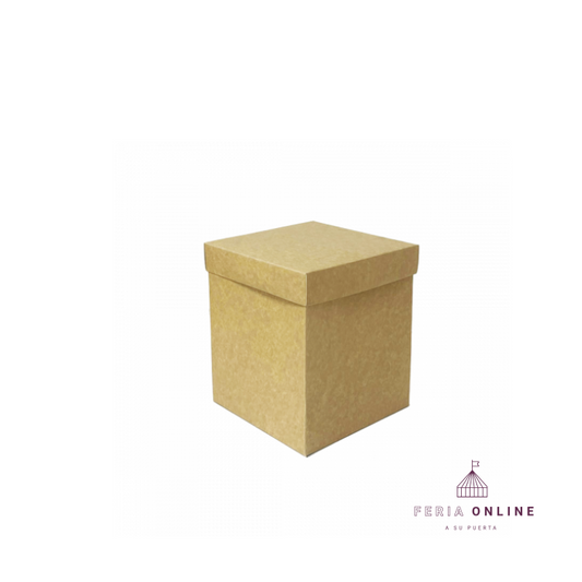 Caja Cubo 35 x 35 x Unidad