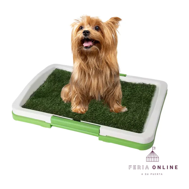 Base Sanitaria Con Gramilla Para Perros Pequeños