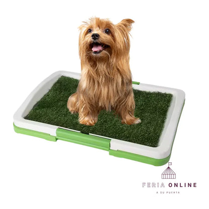 Base Sanitaria Con Gramilla Para Perros Pequeños