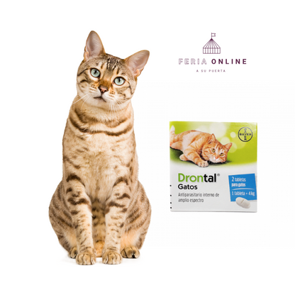 Antiparasitario Interno Drontal Ps Para Gatos En Tabletas