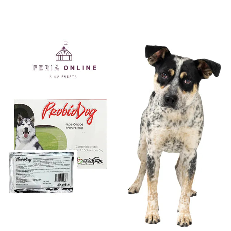 ProbioDog Sobre X 5GR