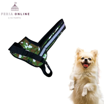 Pechera Con Paseador Para Mascotas Grande