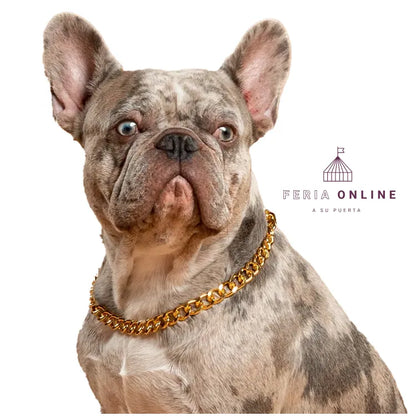 Cubana para Mascotas Puppy Pets