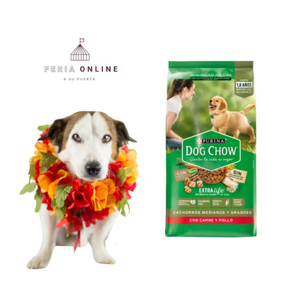 Dog Chow Cachorros Medianos y Grandes 1k.